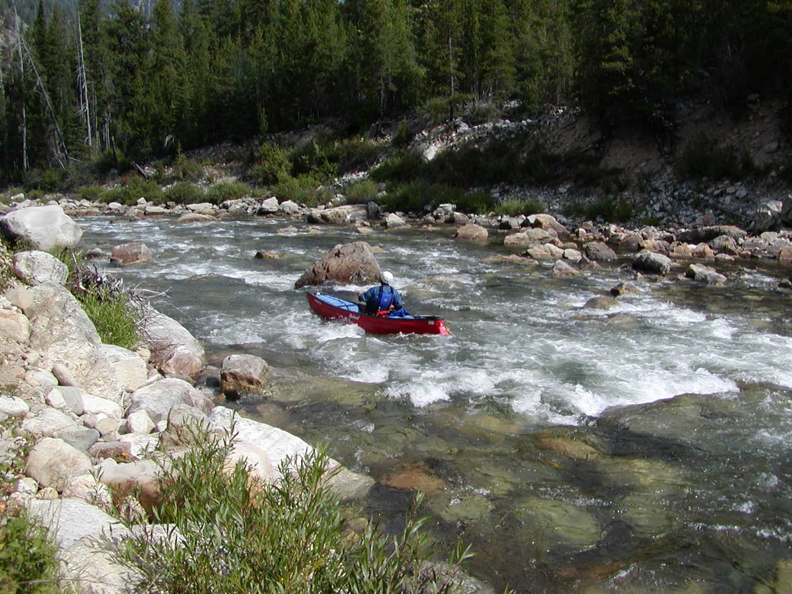 2001 Middle Fork Trip (Photo by Jo Cox - 8/6/01)